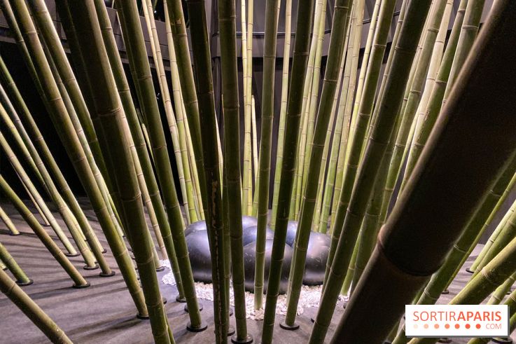 Black Bamboo de Nils-Udo à la Fondation EDF