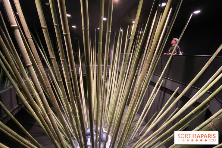 Black Bamboo de Nils-Udo à la Fondation EDF