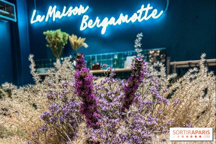 Bergamotte Kinfolk, la nouvelle collection de fleurs séchées naturellement visuel