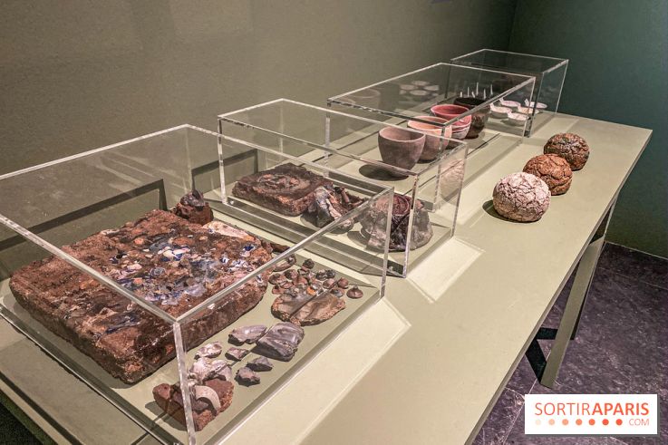 Les contes étranges de Niels Hansen Jacobsen au Musée Bourdelle, les photos