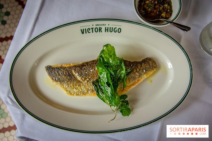 Le renouveau de la Brasserie Victor Hugo à Paris , les photos