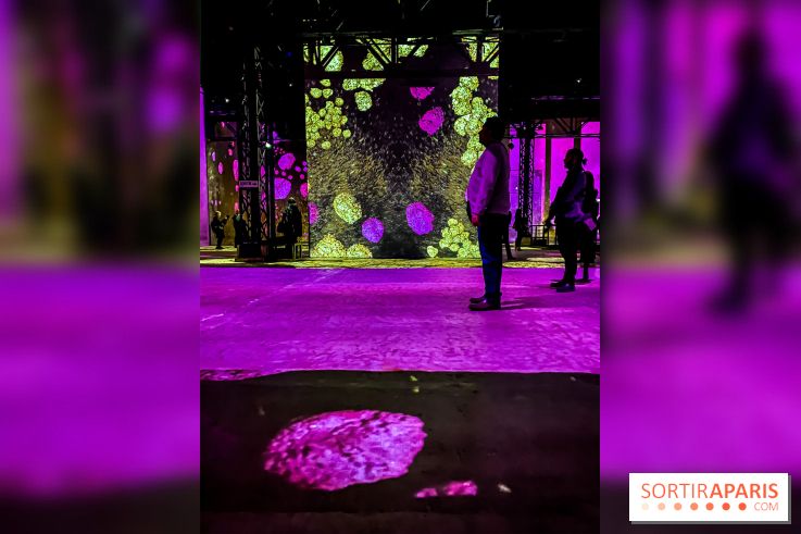 Yves Klein, l’Infini Bleu -  l’album photo