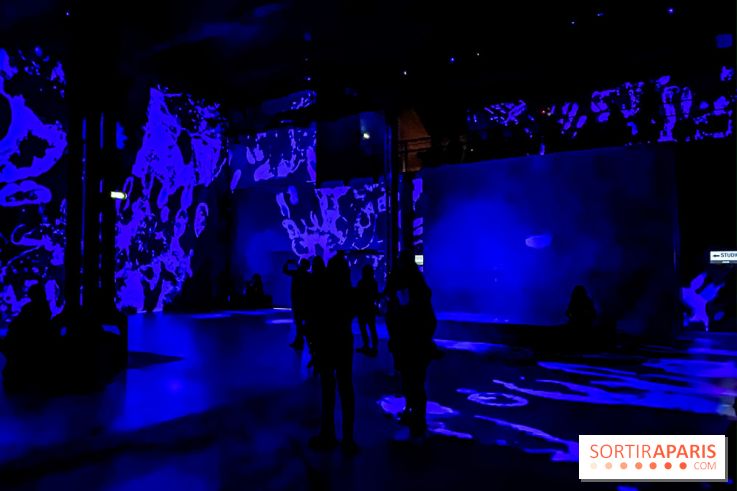 Yves Klein, l’Infini Bleu -  l’album photo