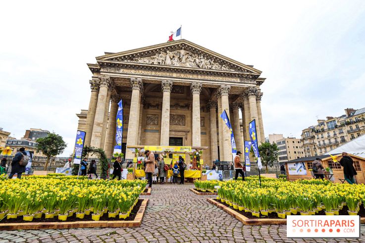 Une Jonquille pour Curie au Panthéon