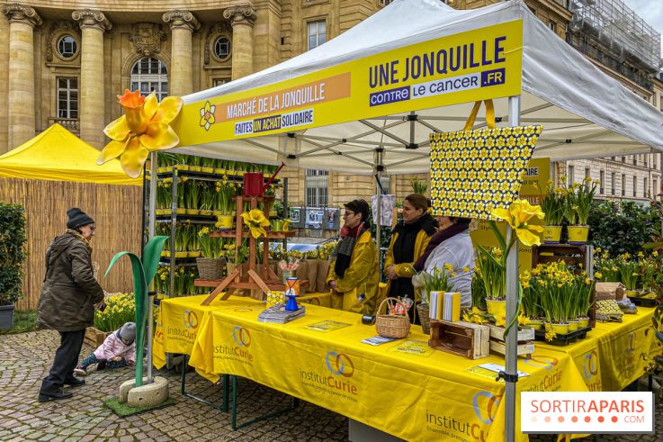Une Jonquille pour Curie au Panthéon