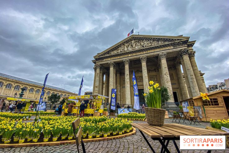 Une Jonquille pour Curie au Panthéon