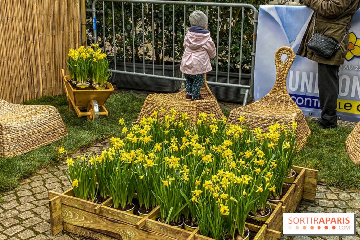 Une Jonquille pour Curie au Panthéon
