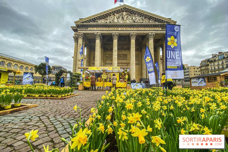 Une Jonquille pour Curie au Panthéon