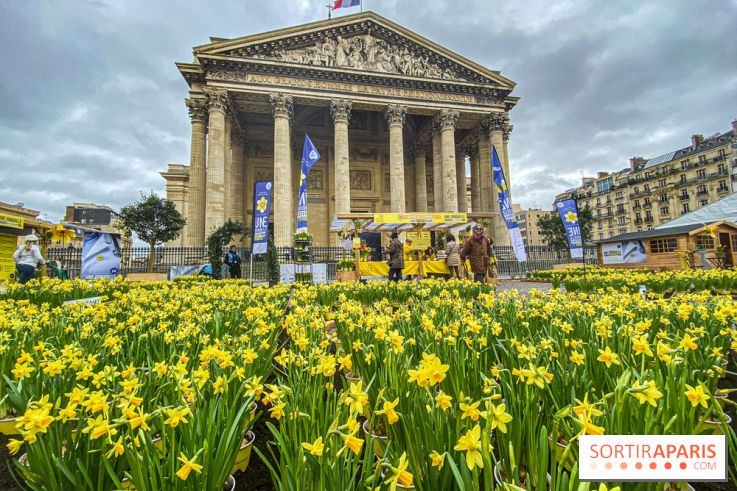 Une Jonquille pour Curie au Panthéon