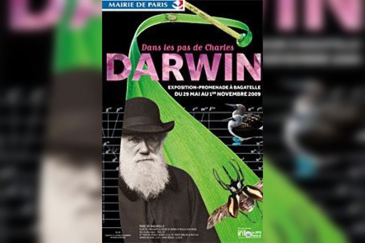 darwin paris