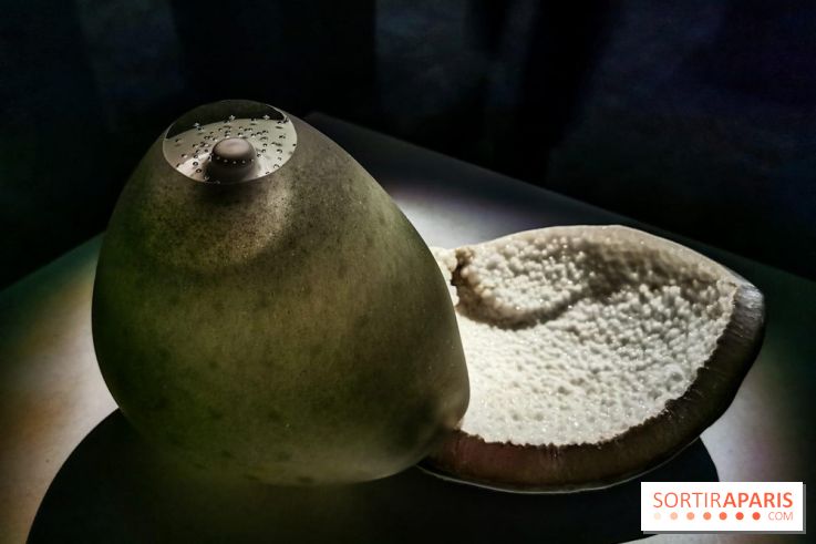 Rachel Rose, l'exposition gratuite à Lafayette Anticipations