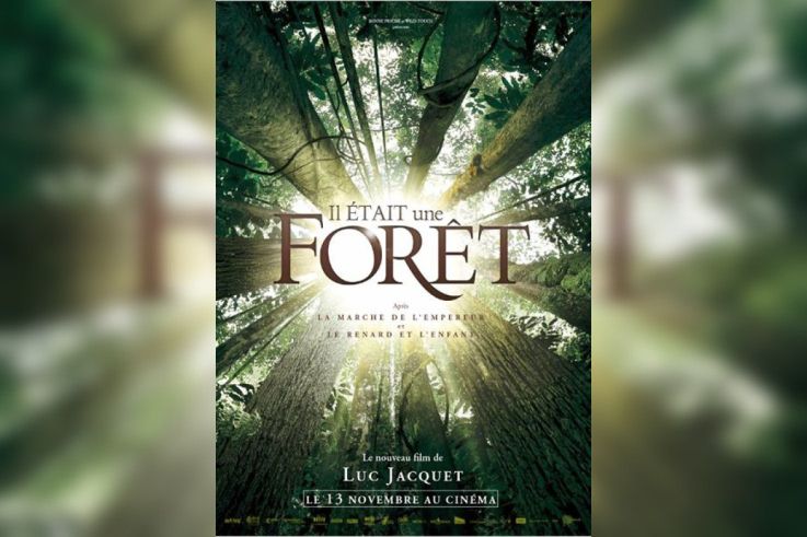 Il était une forêt