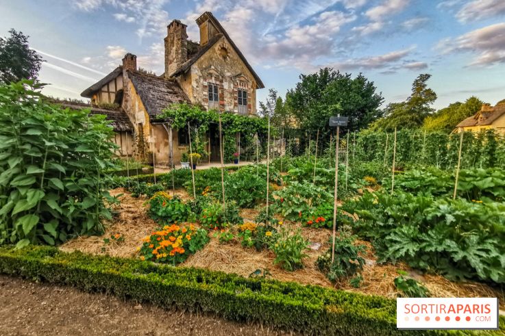 Le Domaine de Trianon et Hameau de la Reine