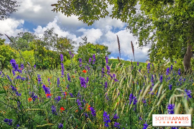 Visuel Paris Jardin des Plantes - Muséum MNHN
