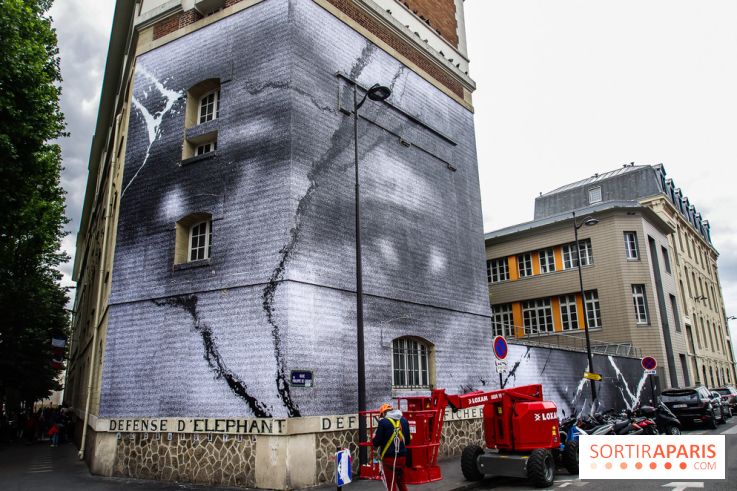 Hommage à Adama Traoré : l'artiste JR dévoile un collage géant à Paris, les photos