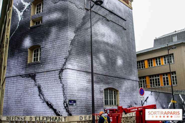 Hommage à Adama Traoré : l'artiste JR dévoile un collage géant à Paris, les photos