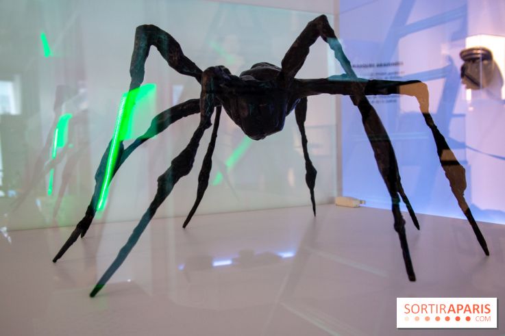 Araignées, Lucioles et Papillons au Musée en Herbe : nos photos