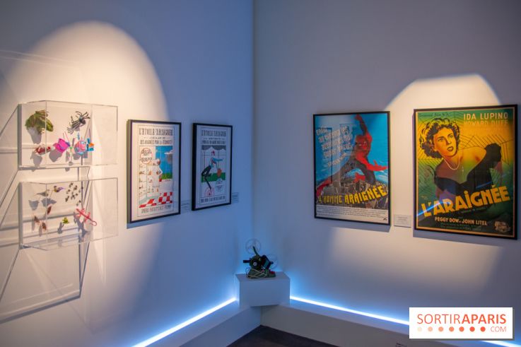 Araignées, Lucioles et Papillons au Musée en Herbe : nos photos