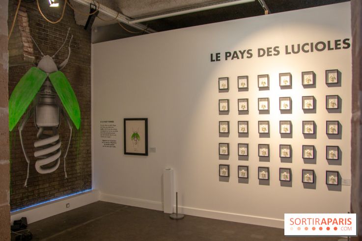 Araignées, Lucioles et Papillons au Musée en Herbe : nos photos