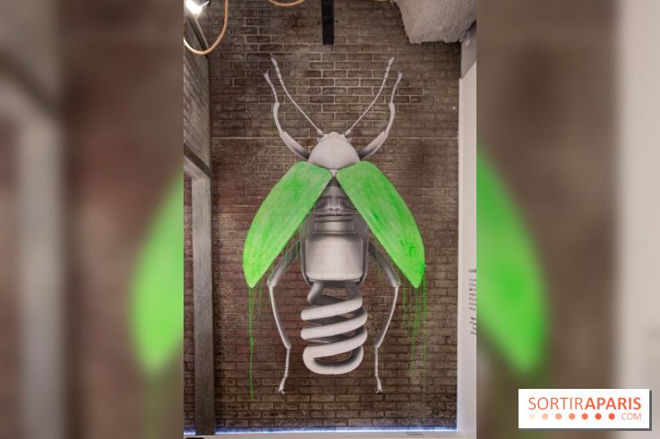 Araignées, Lucioles et Papillons au Musée en Herbe : nos photos