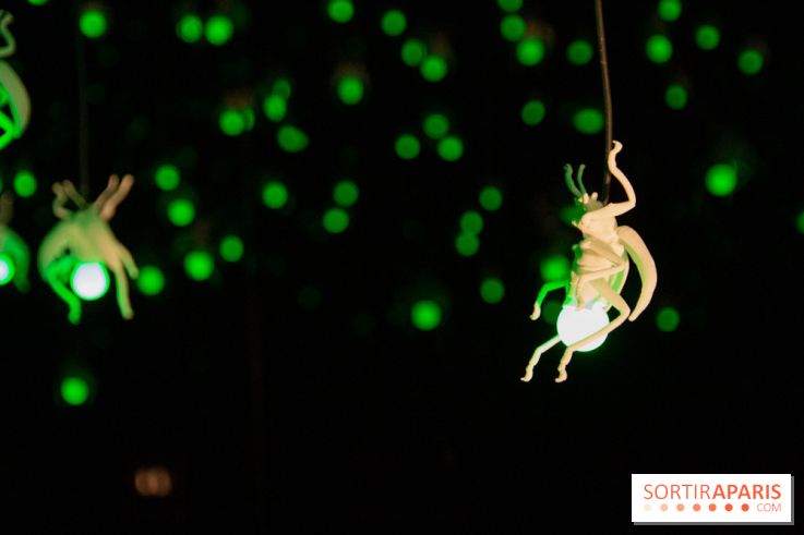 Araignées, Lucioles et Papillons au Musée en Herbe : nos photos