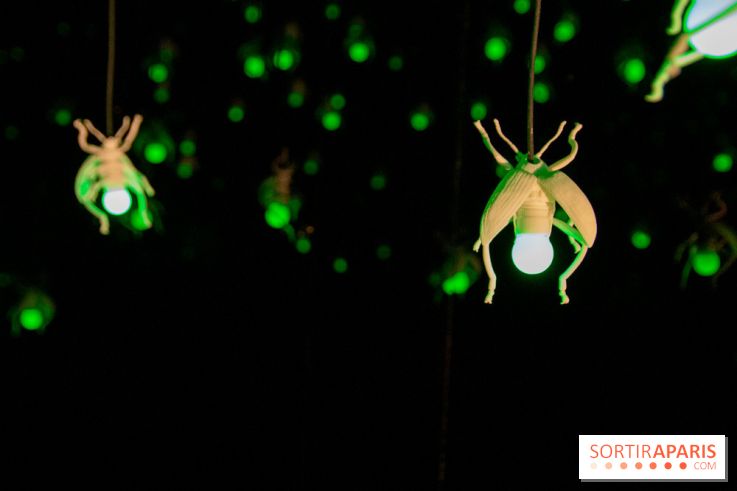 Araignées, Lucioles et Papillons au Musée en Herbe : nos photos