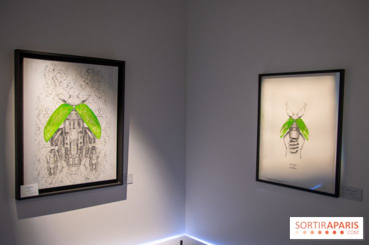 Araignées, Lucioles et Papillons au Musée en Herbe : nos photos