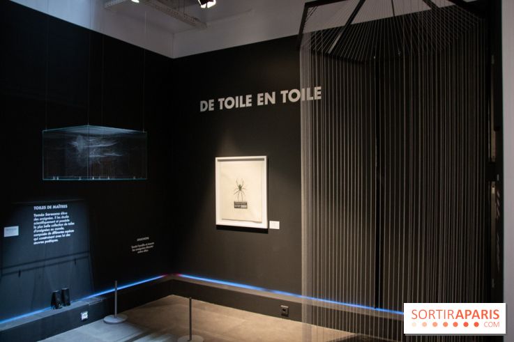 Araignées, Lucioles et Papillons au Musée en Herbe : nos photos