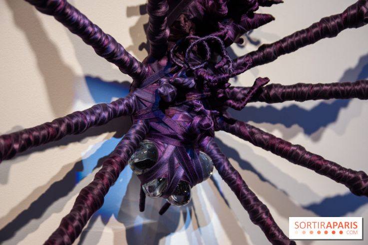 Araignées, Lucioles et Papillons au Musée en Herbe : nos photos