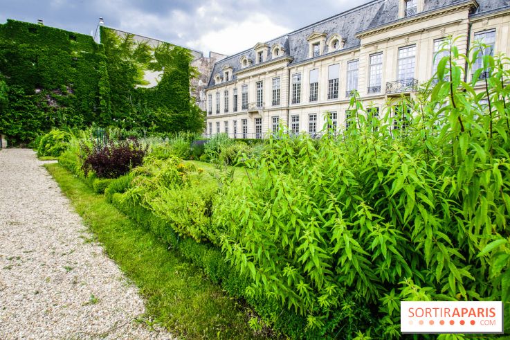 Le jardin des Arts-Albert Schweitzer à Paris, les photos
