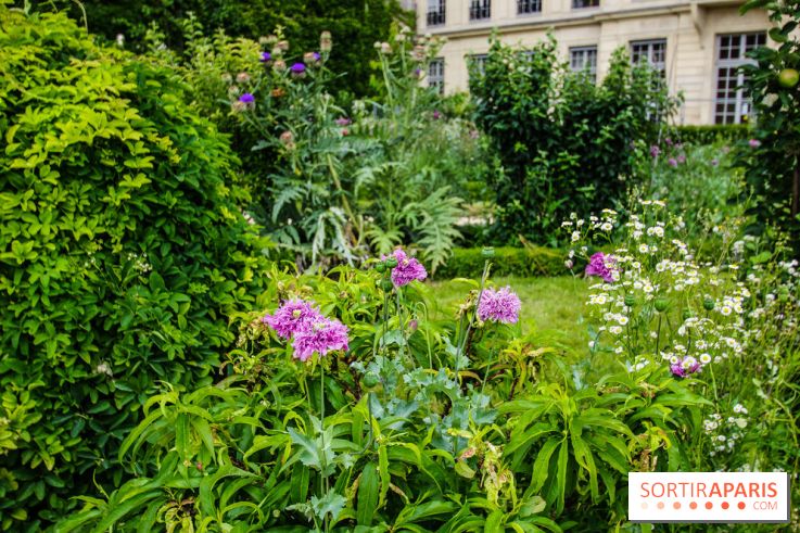 Le jardin des Arts-Albert Schweitzer à Paris, les photos