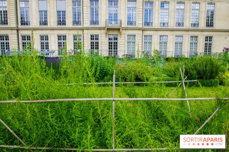 Le jardin des Arts-Albert Schweitzer à Paris, les photos