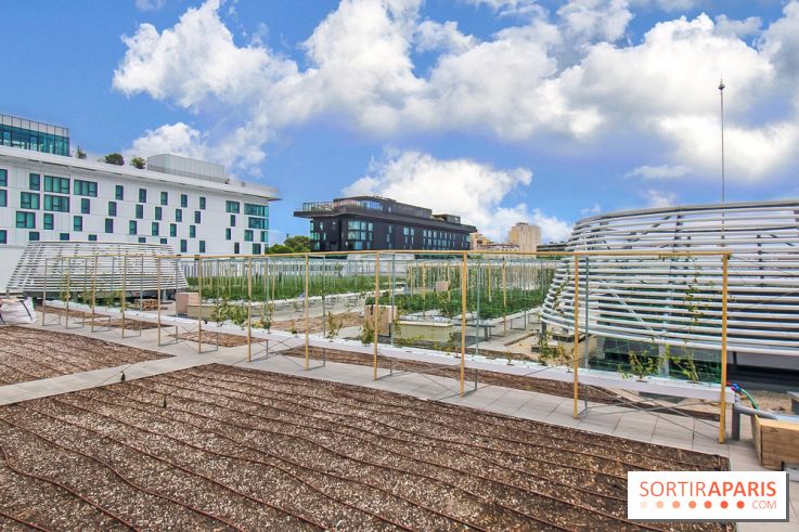 Le Perchoir ferme urbaine Porte de Versailles