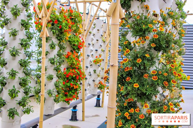 Le Perchoir ferme urbaine Porte de Versailles