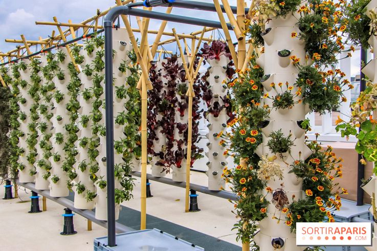 Le Perchoir ferme urbaine Porte de Versailles