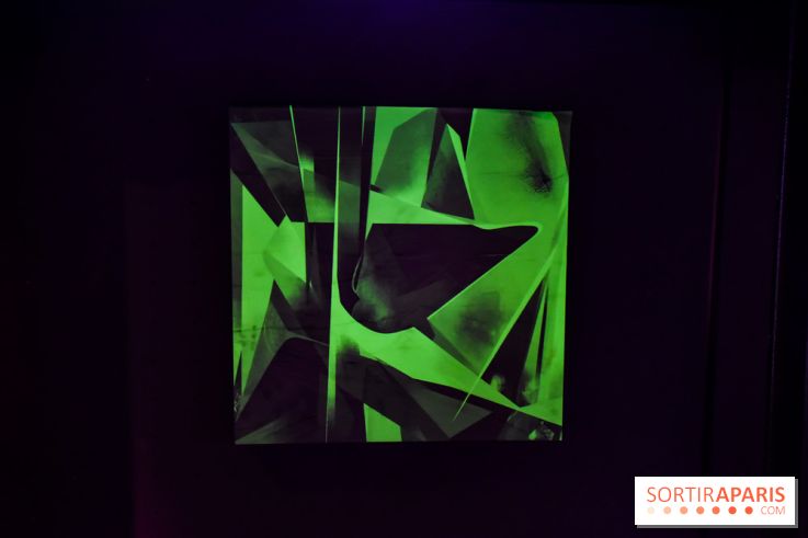 Vision d'ensemble, l'exposition à Fluctuart - nos photos