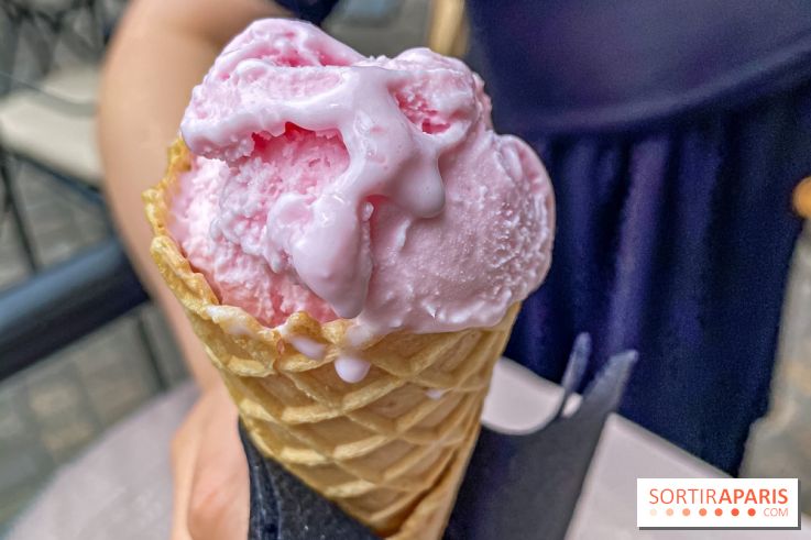 Terrasses du Novotel Paris les Halles, Jardin Privé glace