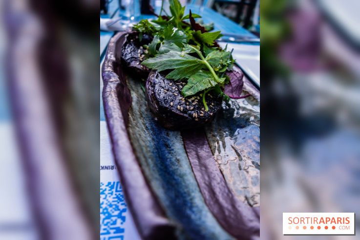 Taisho, la terrasse estivale 2020 à l'Aquarium de Paris, les photos