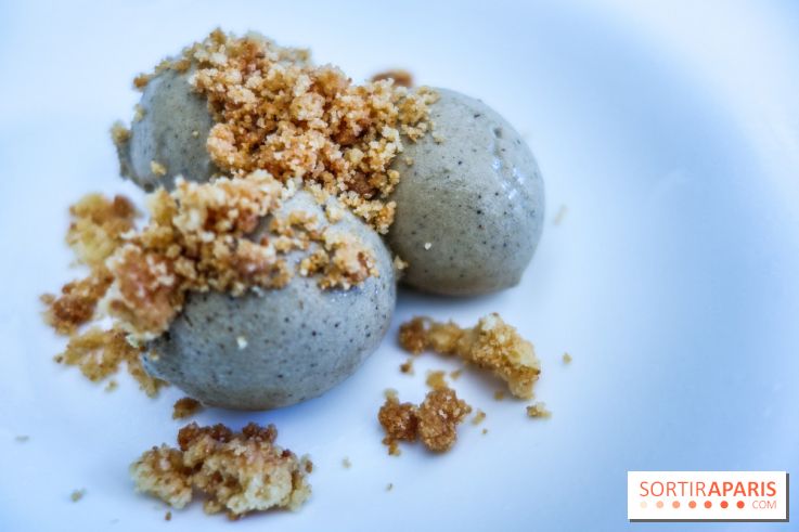 Taisho, la terrasse estivale 2020 à l'Aquarium de Paris, les photos