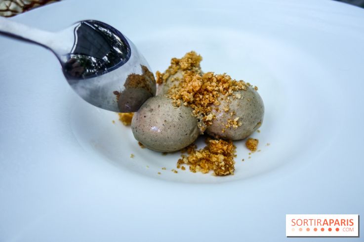 Taisho, la terrasse estivale 2020 à l'Aquarium de Paris, les photos