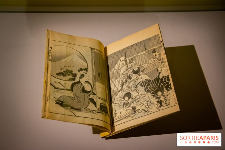 Fuji, pays de neige, l'exposition au musée Guimet - nos photos