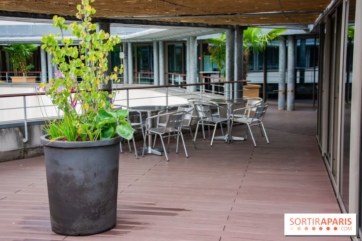 Le Musée Guimet ouvre sa terrasse estivale panoramique