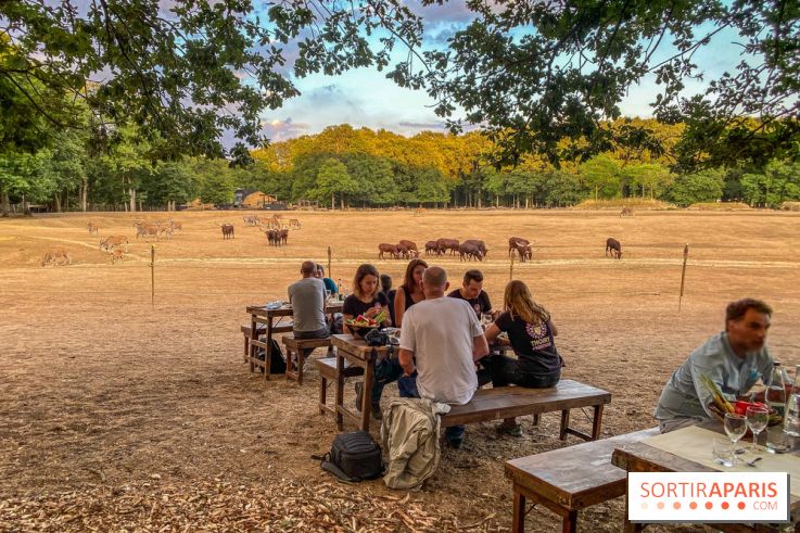 Photos du Dîner Safari du Zoo de Thoiry