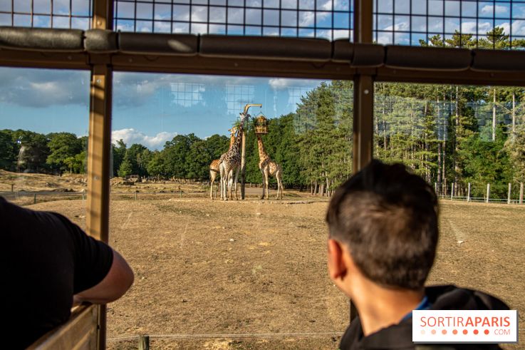 Photos du Dîner Safari du Zoo de Thoiry, Camion