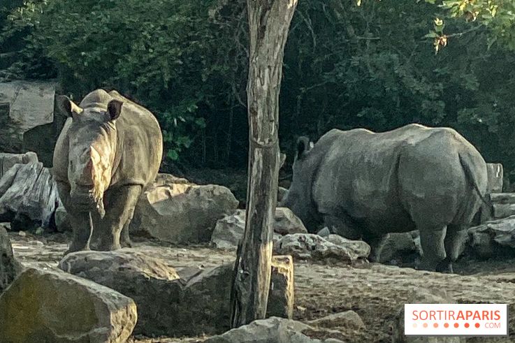 Photos du Dîner Safari du Zoo de Thoiry