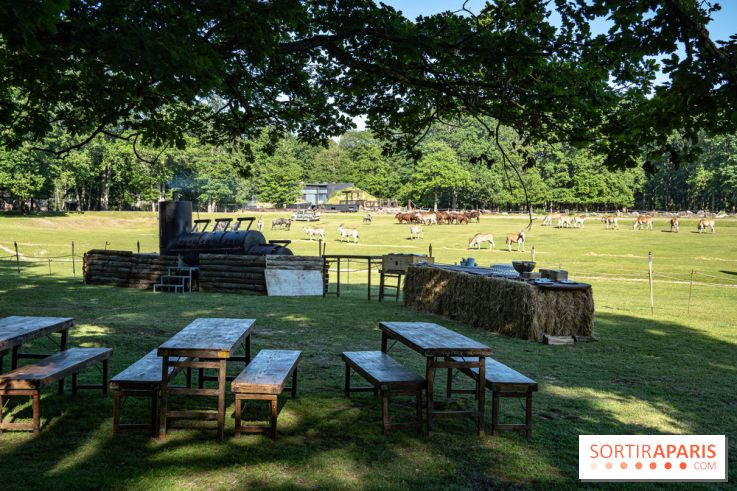 Photos du Dîner Safari du Zoo de Thoiry