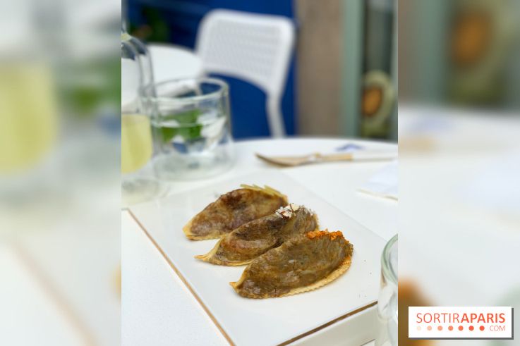 Maison Gazelle - été 2020