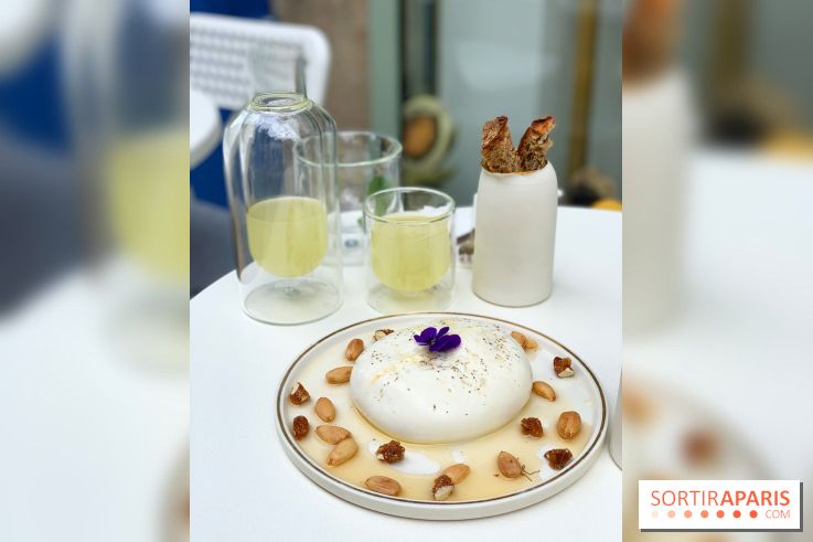 Maison Gazelle - été 2020