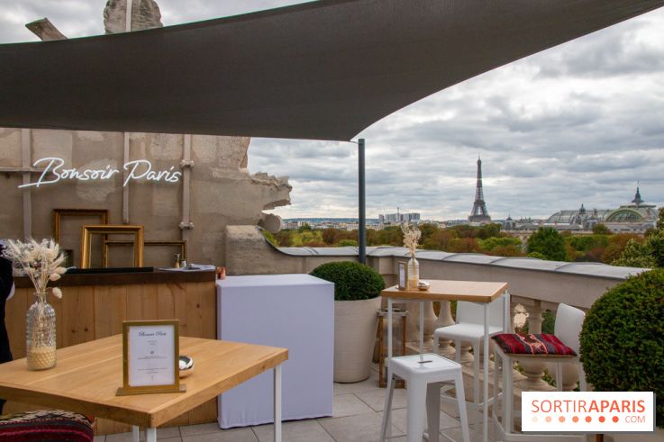 Le Rooftop secret de l'Hôtel de Crillon 