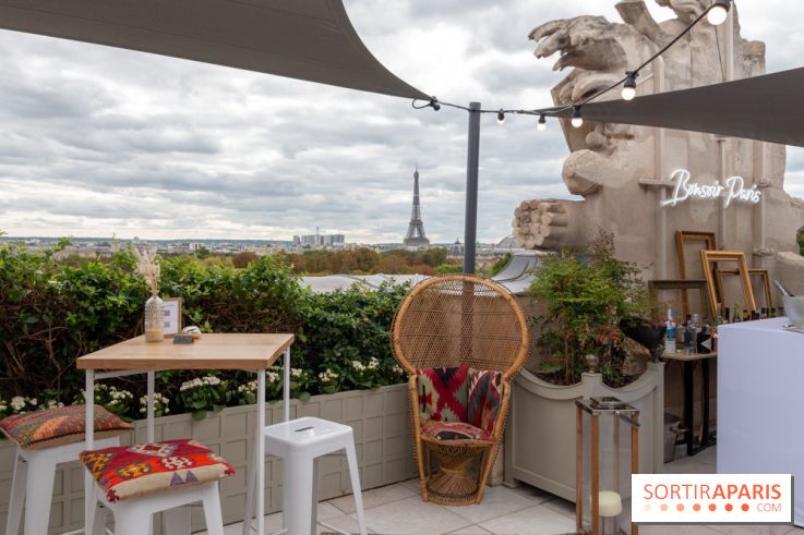 Le Rooftop secret de l'Hôtel de Crillon 